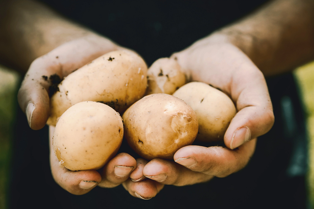 Food production is possible without undermining the health of the land