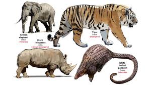 Does the farming and legal trade of wildlife do more harm than good? New study