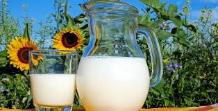 Sustainable dairy farming, the bigger picture