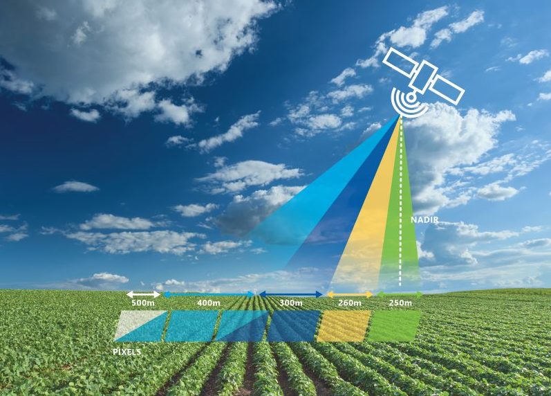 Is farm productivity already declining due to climate change?