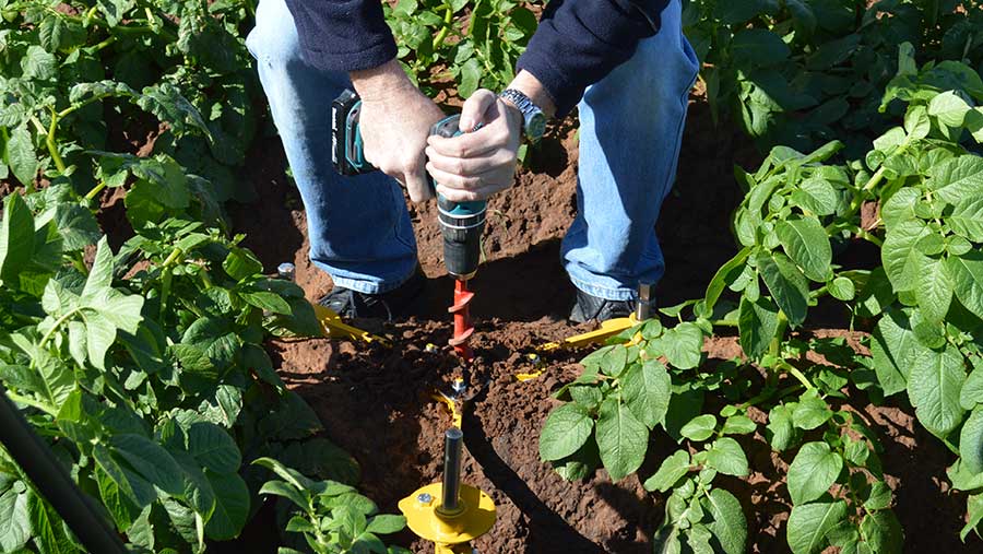 Protect Your Soil, Salvage Yields for Years to Come