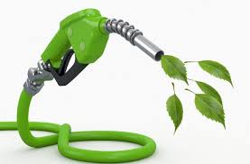 Bacteria could help us store energy and create biofuels