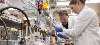Biological Engineering to Increase Global Yields