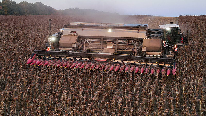 Nexat: Revolutionary holistic crop production system