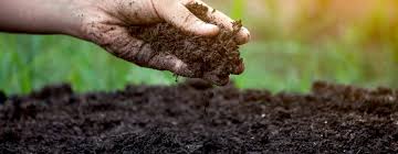 1.5 billion people, living with soil too salty to be fertile 