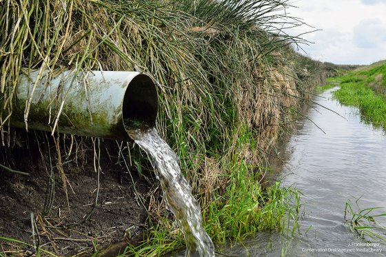 How to balance draining fields with holding onto nitrogen