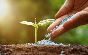 International Fertilizer prices resume downward march, as weaker Rand offsets some of the reduction in local costings.