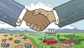 Agbiz says ANC must focus on land reform to grow the sector- South Africa