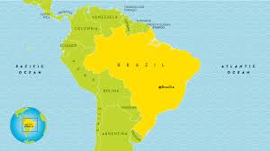 Brazil´s poultry exports grow by 8.5% despite bird flu