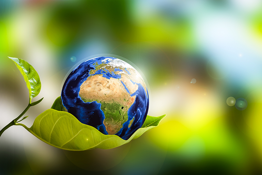The Hortgro Climate Change Response Strategy