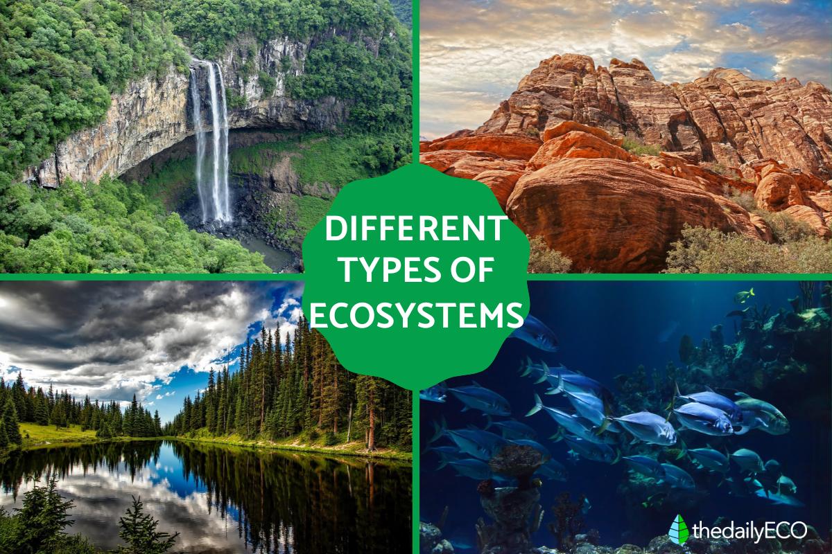 Why ecosystem collapses may occur much sooner than expected