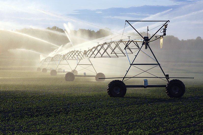 South Africa water crisis: Gov report reveals grim state of infrastructure and contaminated drinking water