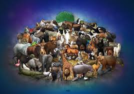 How Animal Spirits Affect the Economy