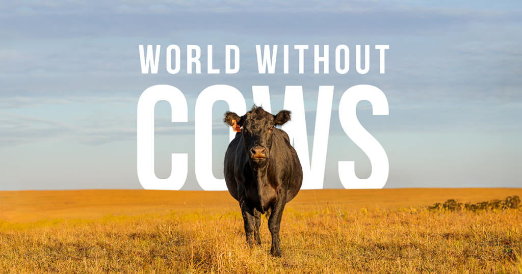 Can we grow enough crops to feed a world without cows?