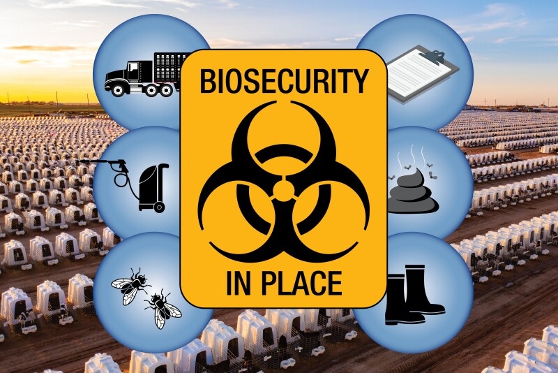 The Biosecurity Firebreak