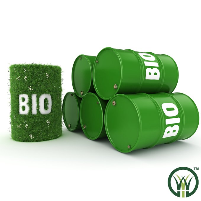 Could wine provide Australia's next source of biofuel?