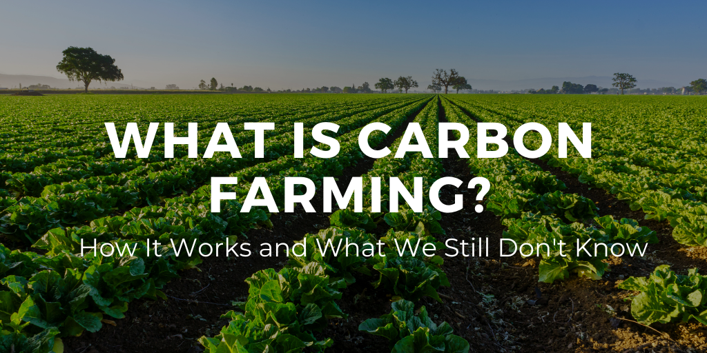 Farming Carbon credit in South Africa 