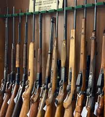 Parliament Hears the Truth About New Firearm Laws