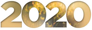 Trends That Will Transform The  Agriculture And Farming  Industry Outlook In 2020