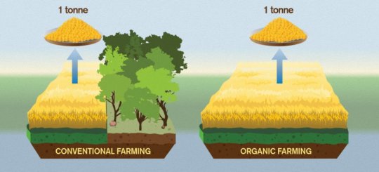 Organic food worse for the climate? 