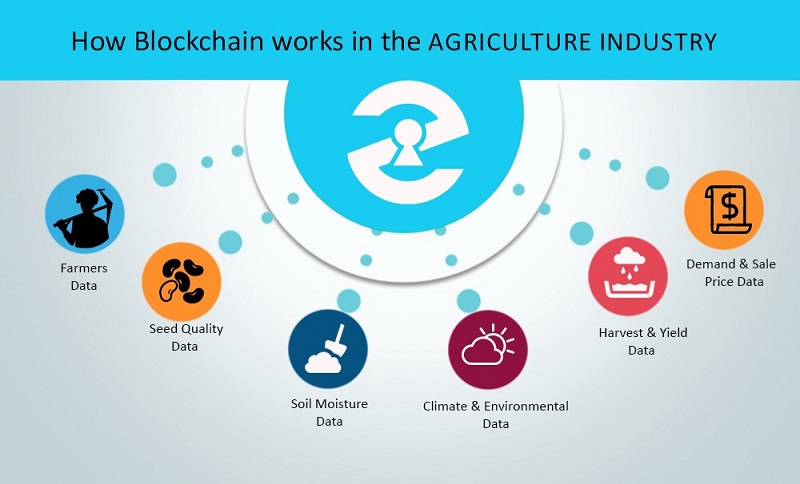 How Blockchain can Revolutionize the agriculture industry