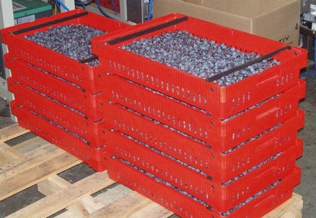 South African berry and citrus farms introduce comic contracts