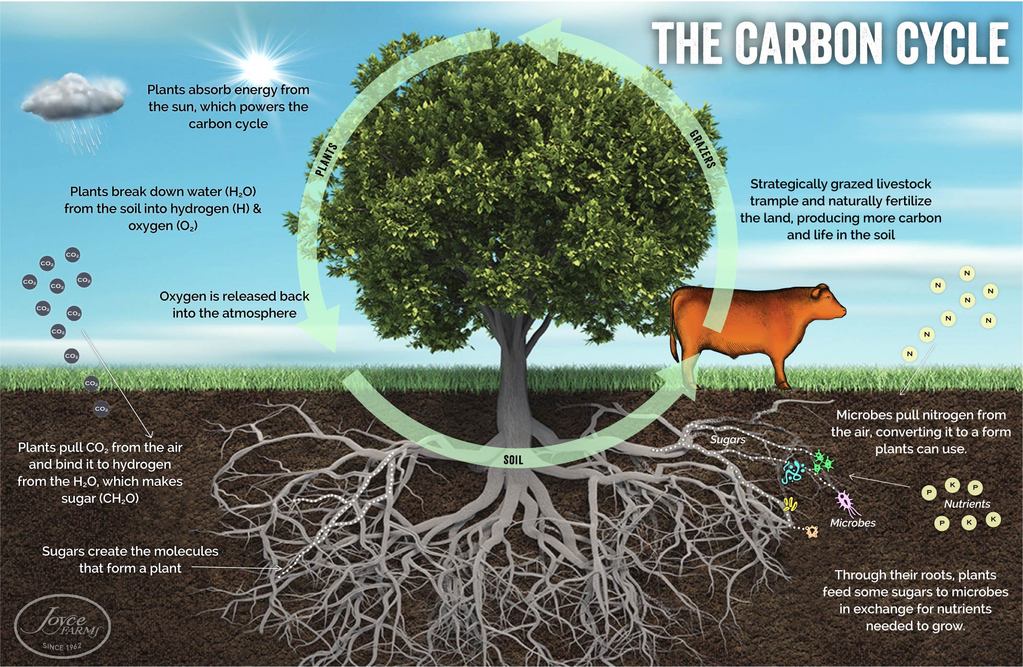THE GREAT LIVESTOCK METHANE MISCONCEPTION