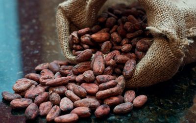 Coffee crops are dying from a fungus with species-jumping genes – researchers are ‘resurrecting’ their genomes to understand how and why
