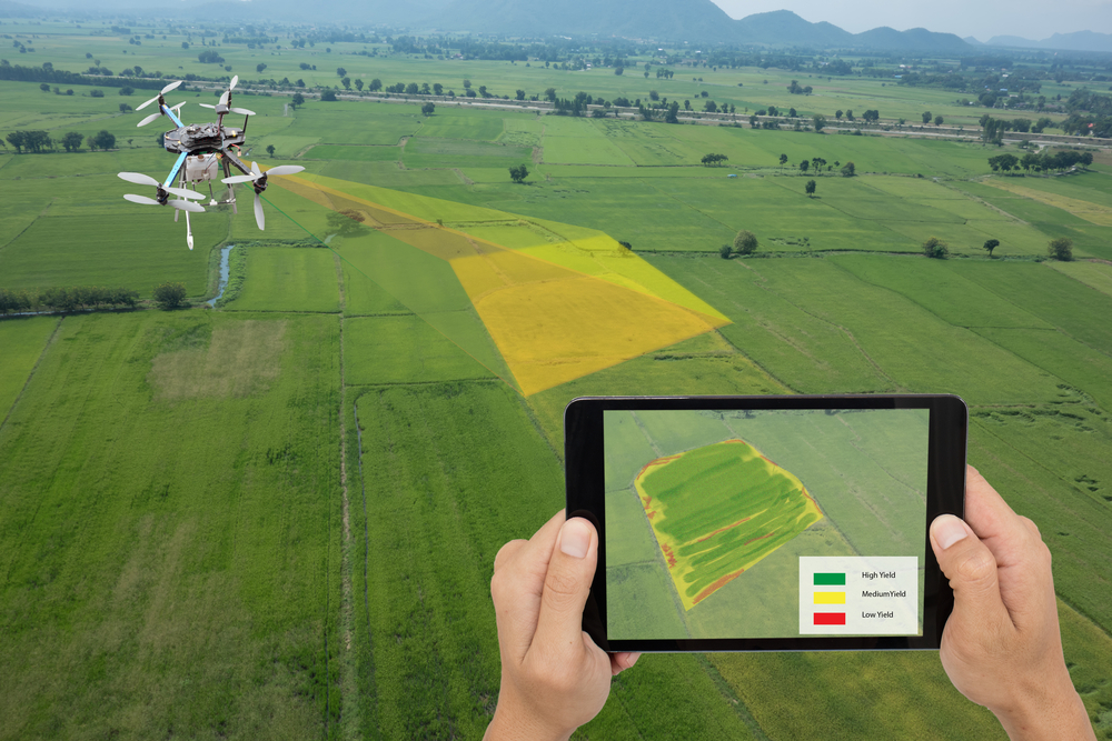 The Role of Drones in Precision Agriculture: Enhancing Crop Health
