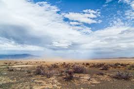 Northern Cape needs R688m to battle massive drought- South Africa-