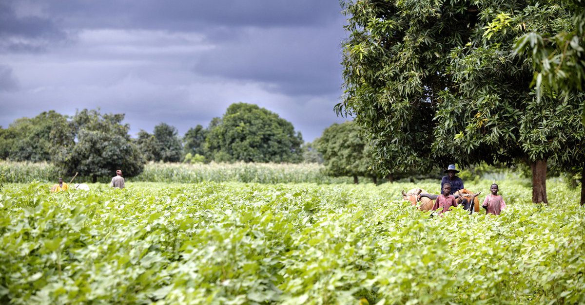 Efficacious handling of land reform the long-term solution for lasting peace