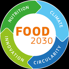 Can South Africa’s food producers lead in sustainable innovation?