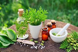 Scientists pitch for herbal medicine to cure livestock diseases