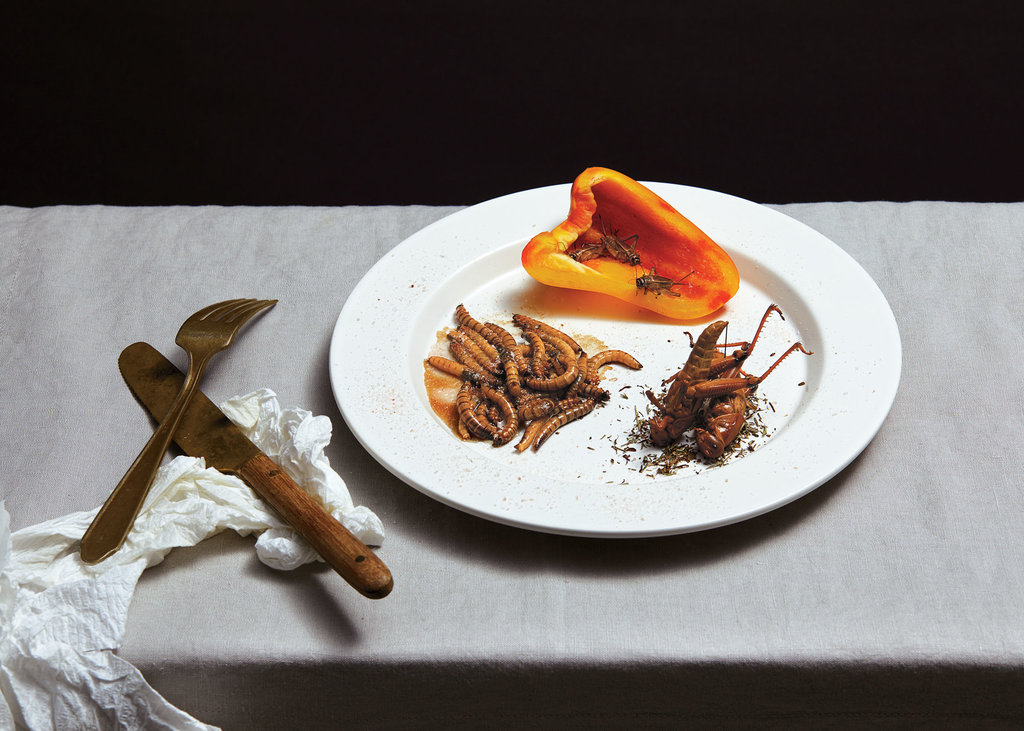 Insects for Dinner: Separating the Hope from the Hype