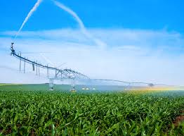 Farmers can save water with wireless technologies.