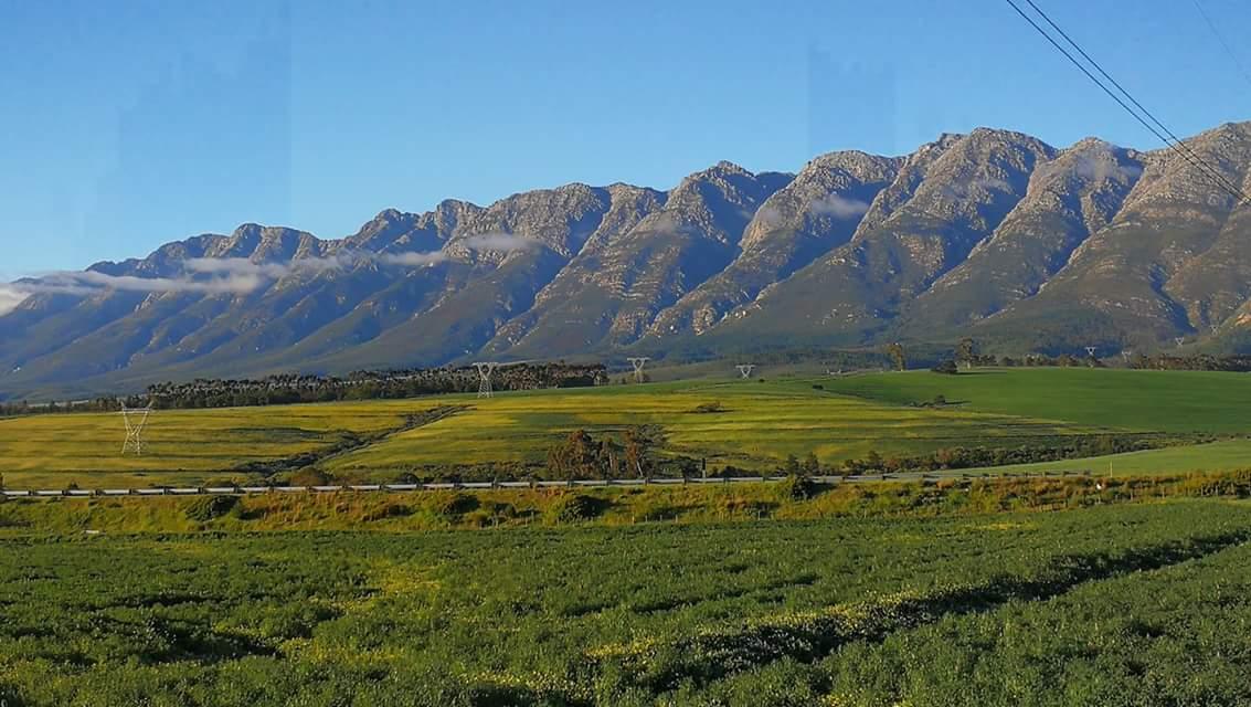 New plan needed for South Africa’s agriculture success-
