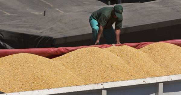 Commercial agri sector not appreciated in COVID-19 crisis’- South Africa