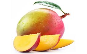 South African mango growers glad that the Tommy blues are coming to an end
