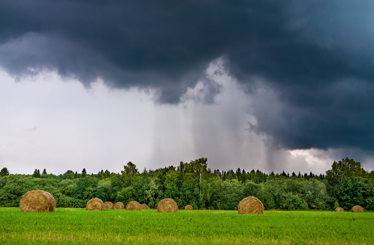 Cumulus Report: 14 November 2019