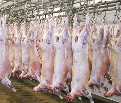 Price of red meat expected to skyrocket due to drought- South Africa
