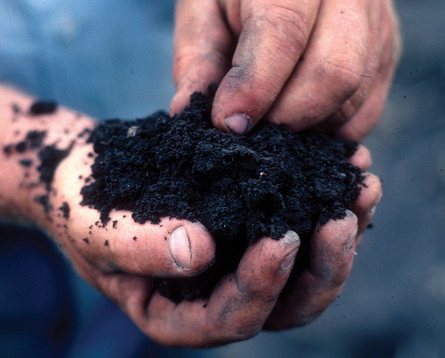 Best farming practices for soil health vary by region
