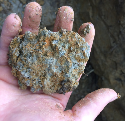 Soil holds the secret to mitigating climate change-