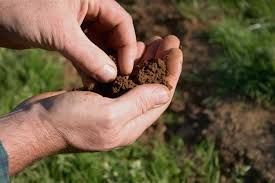 Soil bacteria and minerals can form a natural 'battery' that breaks down antibiotics in the dark