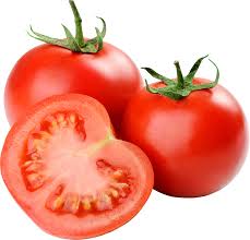 South Africa -Winter temperatures to determine produce growth rates
