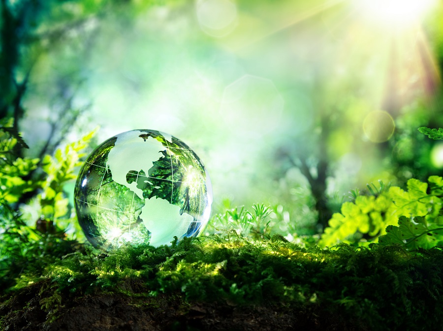 Farming in South Africa is under threat from climate change. 