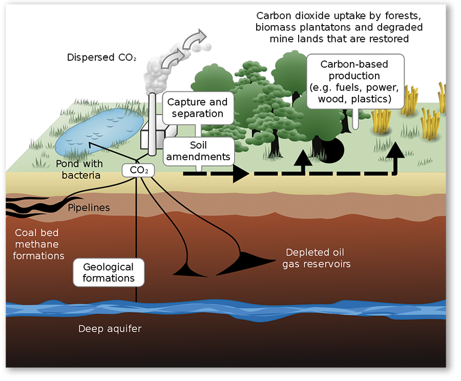 Carbon capture in Mediterranean soil: how farmland can trap greenhouse gases