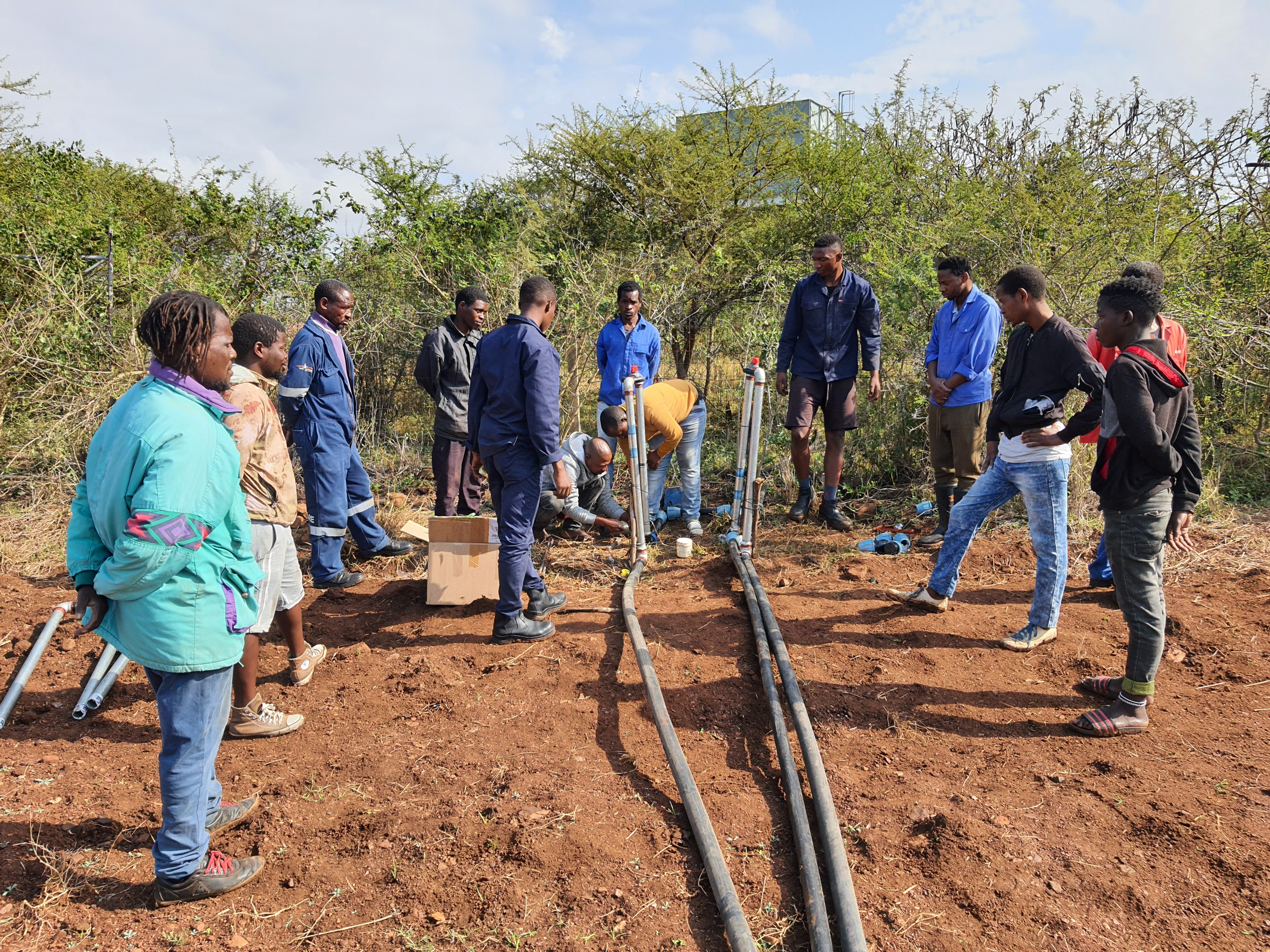 Minimum wage for South African farm workers: study shows 2013 hike helped reduce poverty even though compliance was poor