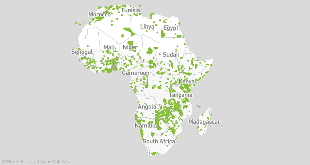 Africa’s food economy needs to be rebuilt with a focus on sustainability 