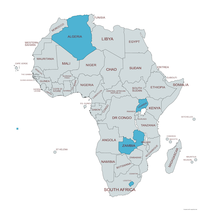 Top 10 agricultural imports driving Africa’s trade dynamics