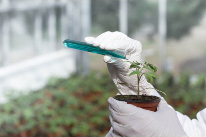 Is aquaponics better than hydroponics? What should you choose in 2024 for soilless agriculture?
